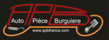 AUTO PI&Egrave;CE BURGUI&Egrave;RE