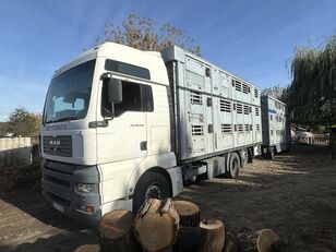 MAN TGA 26.440 állatszállító teherautó + állatszállító pótkocsi