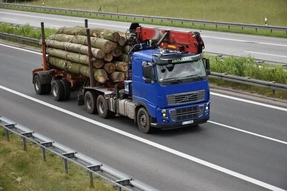 Volvo FH16 700 Do Dłużycy Long Wood Holztransporte LKW  rönkszállító teherautó